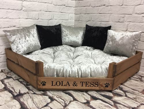 lola dog sofa